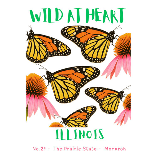 Illinois Nature Explorer Gift Set – Activity Books + Wild at Heart Tote