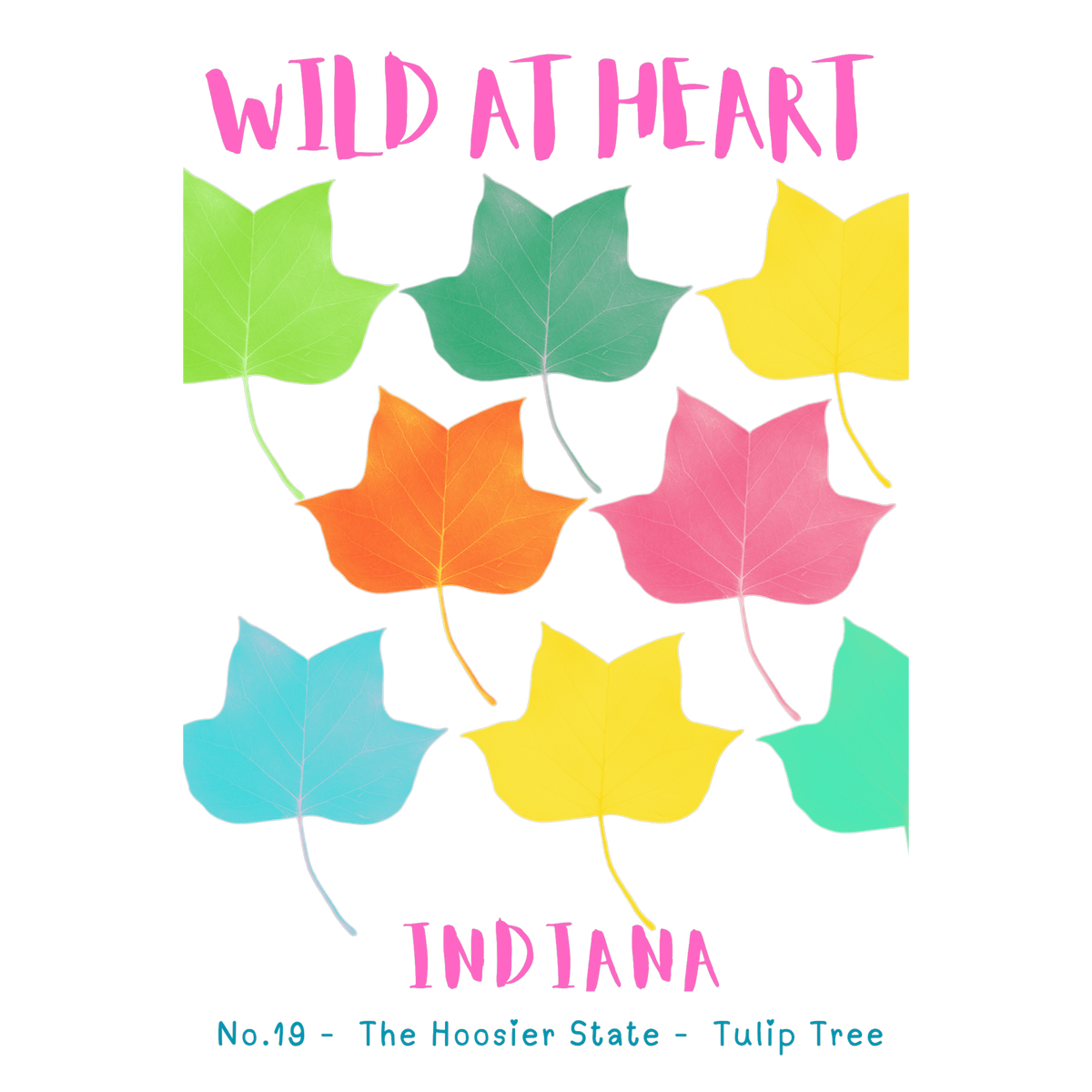 Indiana Nature Explorer Gift Set – Activity Books + Wild at Heart Tote