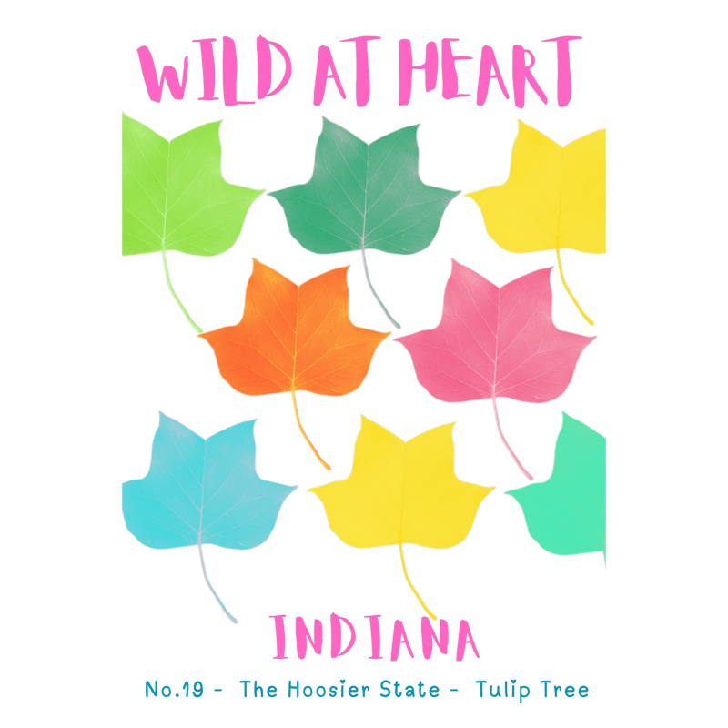 Indiana Nature Explorer Gift Set – Activity Books + Wild at Heart Tote