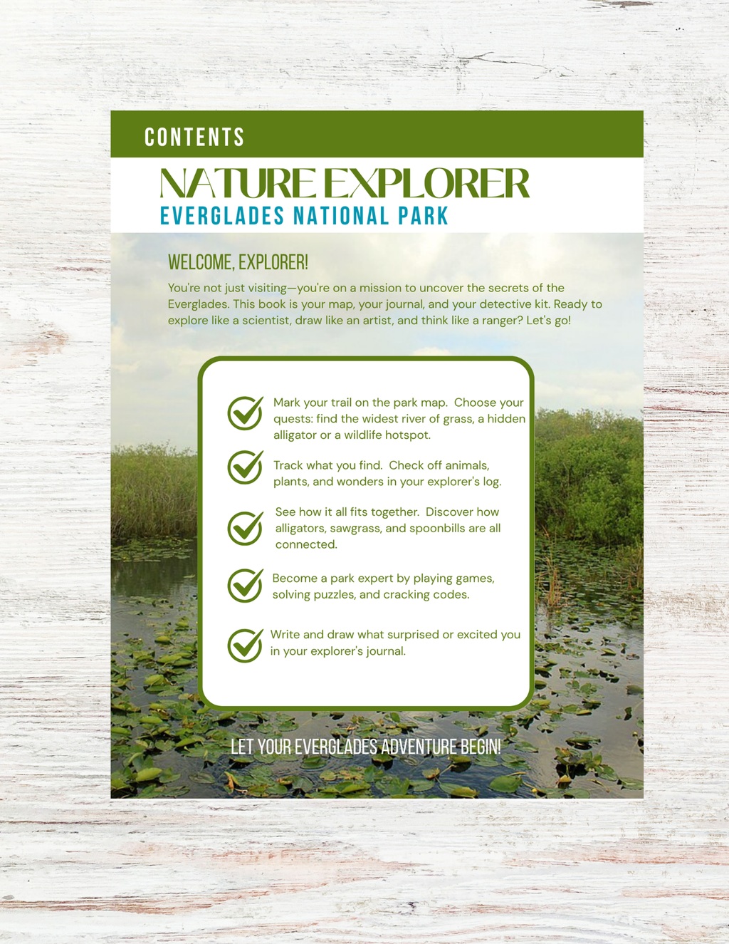 The Everglades: Nature Explorer Club for Kids