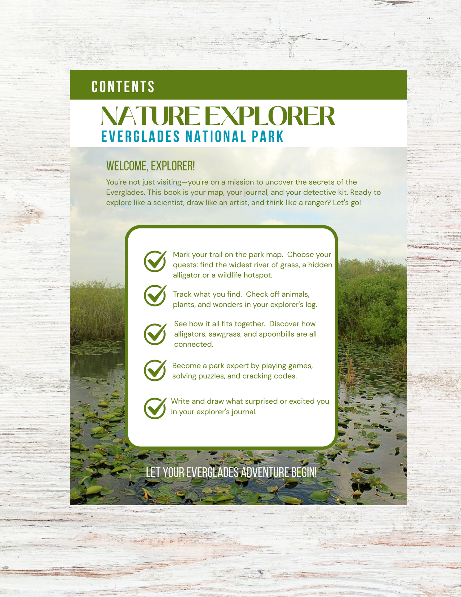 The Everglades: Nature Explorer Club for Kids