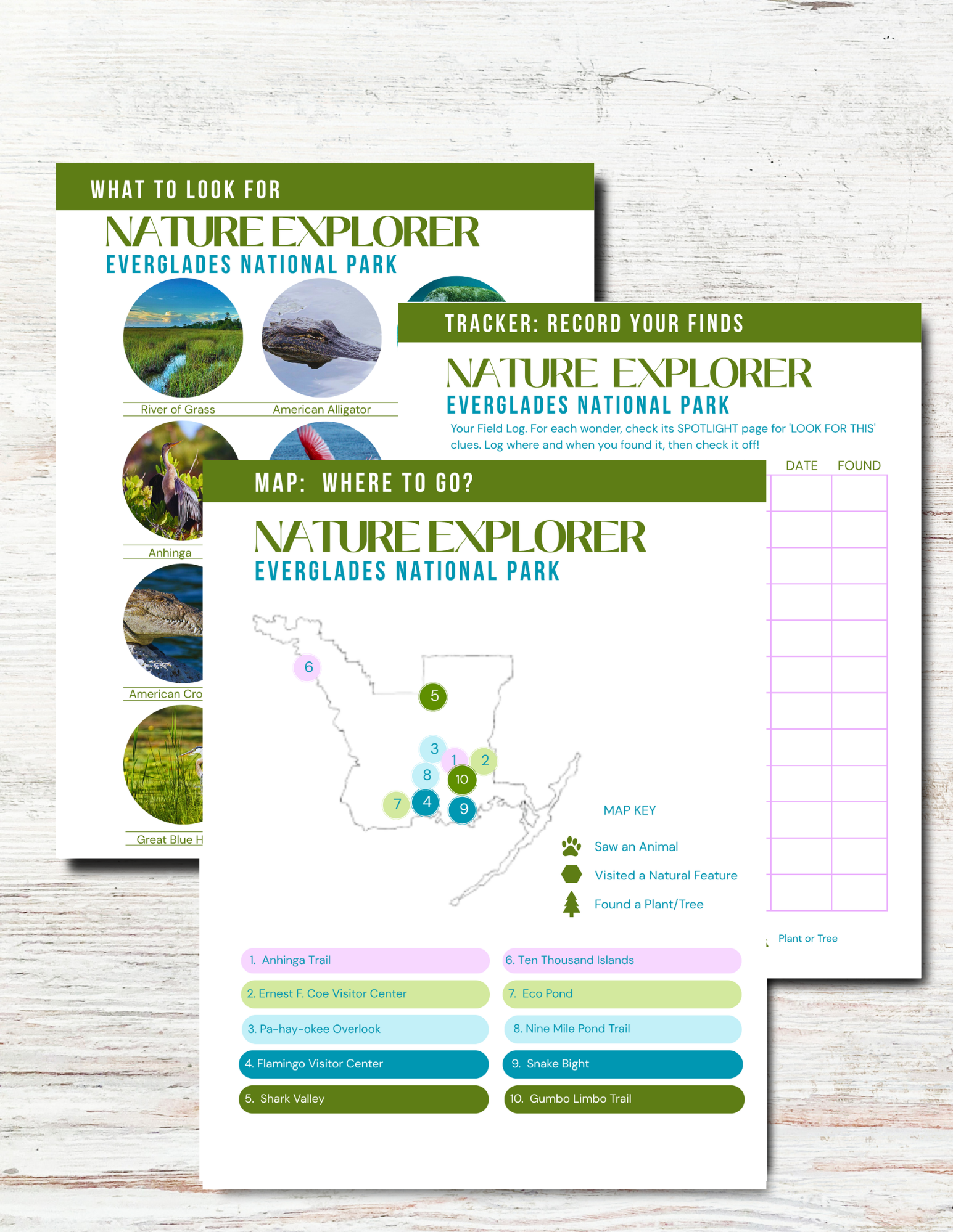The Everglades: Nature Explorer Club for Kids