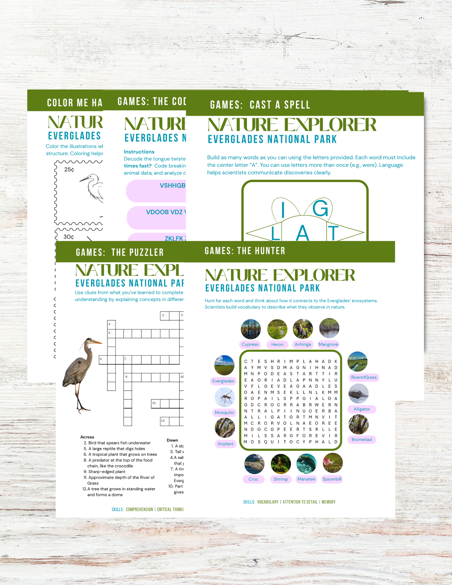 The Everglades: Nature Explorer Club for Kids