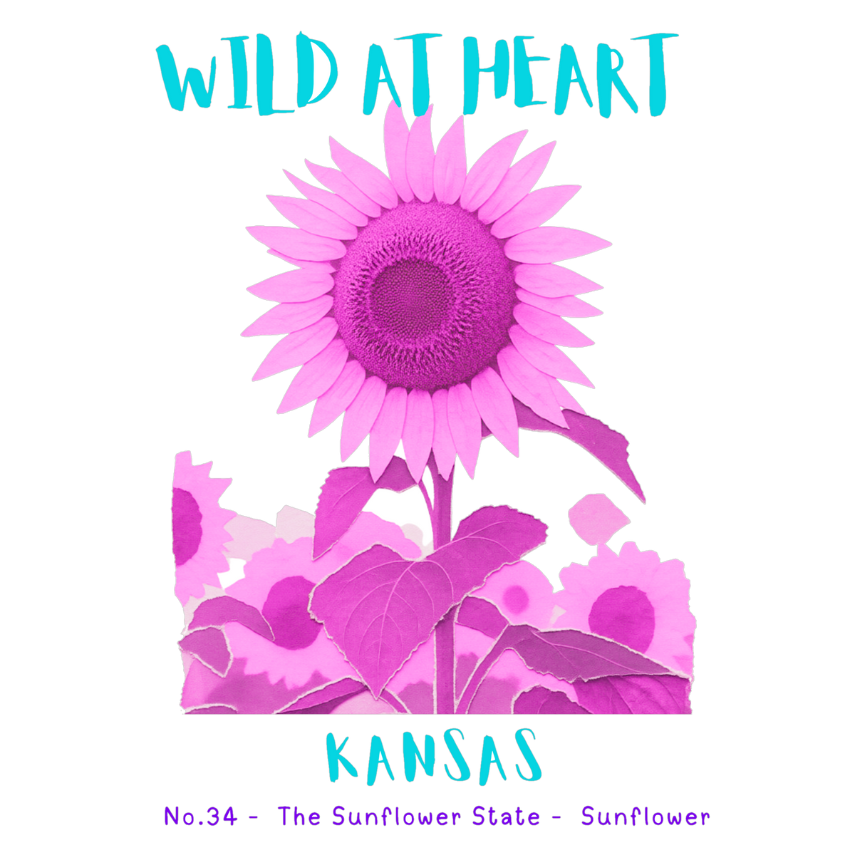 Kansas Nature Explorer Gift Set – Activity Books + Wild at Heart Tote