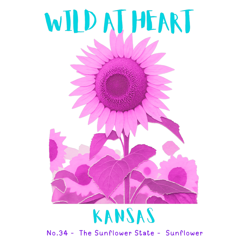 Kansas Nature Explorer Gift Set – Activity Books + Wild at Heart Tote
