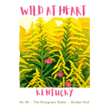 Kentucky Nature Explorer Gift Set – Activity Books + Wild at Heart Tote