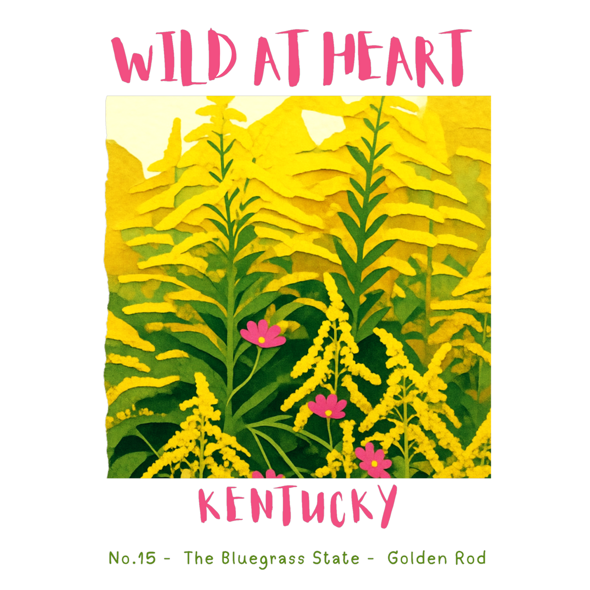 Kentucky Nature Explorer Gift Set – Activity Books + Wild at Heart Tote