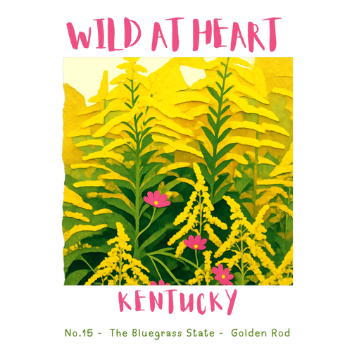 Kentucky Nature Explorer Gift Set – Activity Books + Wild at Heart Tote