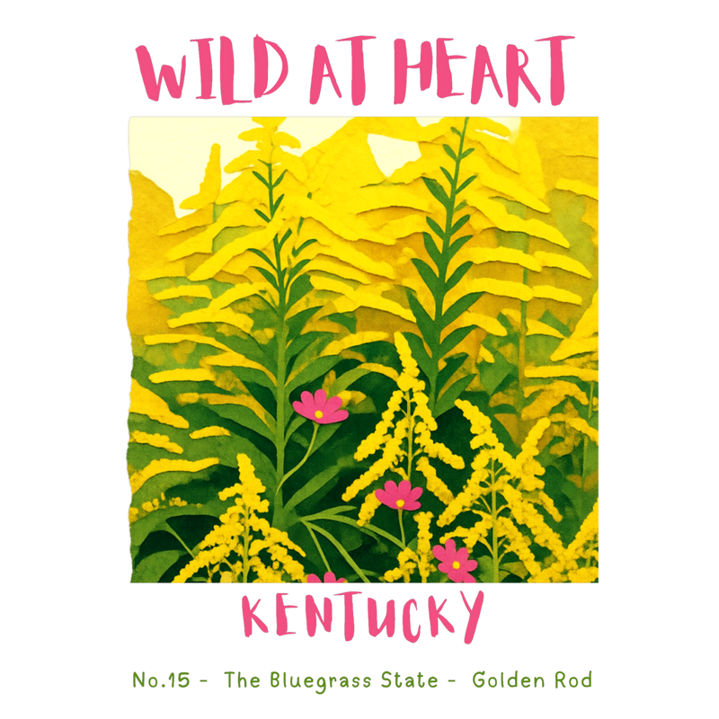 Kentucky Nature Explorer Gift Set – Activity Books + Wild at Heart Tote
