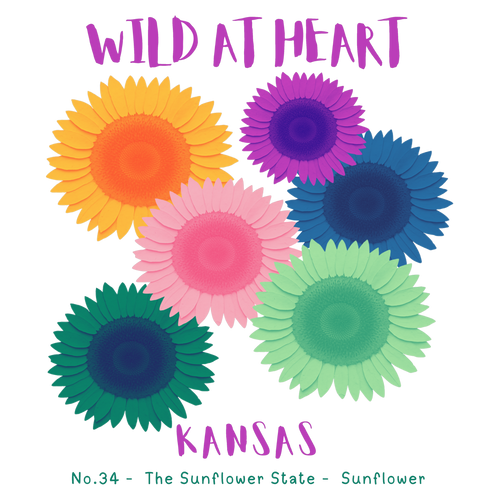 Kansas Nature Explorer Gift Set – Activity Books + Wild at Heart Tote