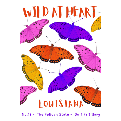Louisiana Nature Explorer Gift Set – Activity Books + Wild at Heart Tote