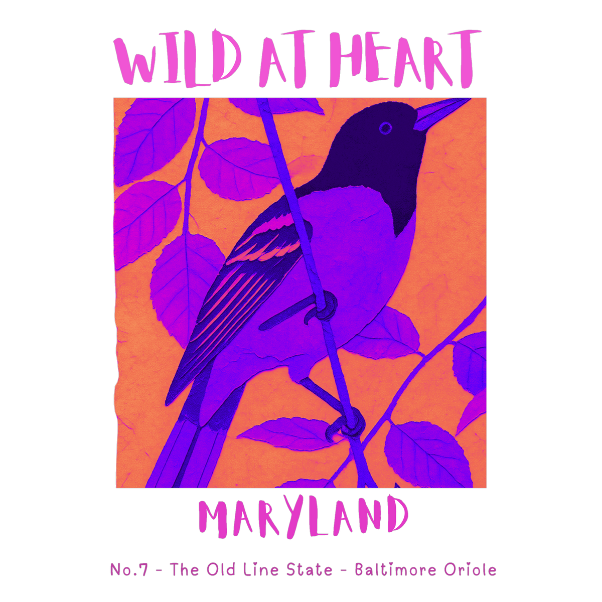 Maryland Nature Explorer Gift Set – Activity Books + Wild at Heart Tote