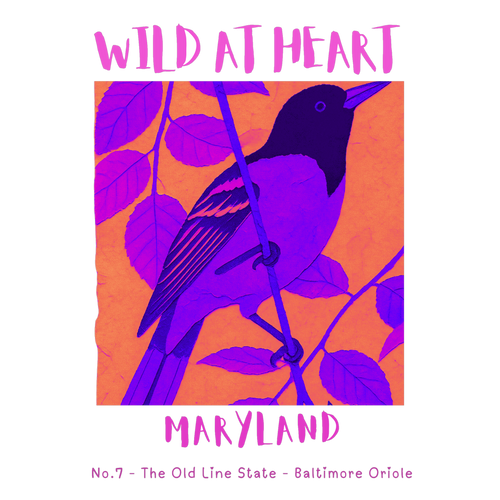 Maryland Nature Explorer Gift Set – Activity Books + Wild at Heart Tote