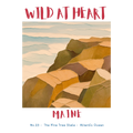 Maine Nature Explorer Gift Set – Activity Books + Wild at Heart Tote