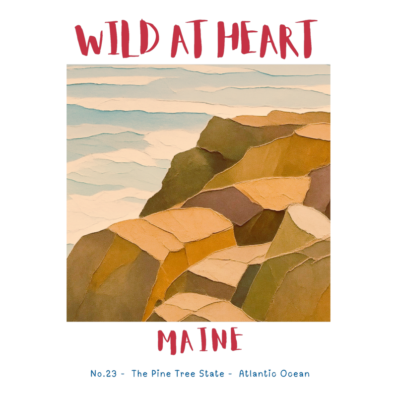 Maine Nature Explorer Gift Set – Activity Books + Wild at Heart Tote