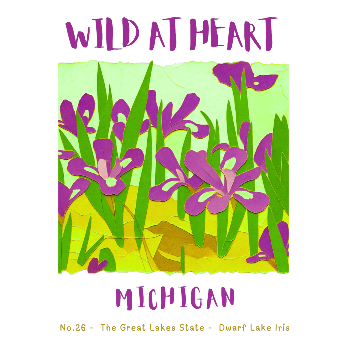 Michigan Nature Explorer Gift Set – Activity Books + Wild at Heart Tote