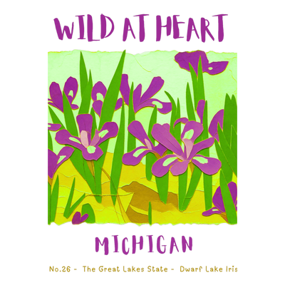 Michigan Wild at Heart nature design