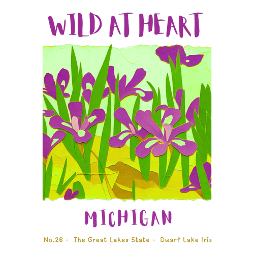 Michigan Nature Explorer Gift Set – Activity Books + Wild at Heart Tote
