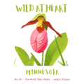 Minnesota Nature Explorer Gift Set – Activity Books + Wild at Heart Tote