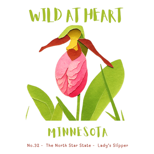Minnesota Nature Explorer Gift Set – Activity Books + Wild at Heart Tote