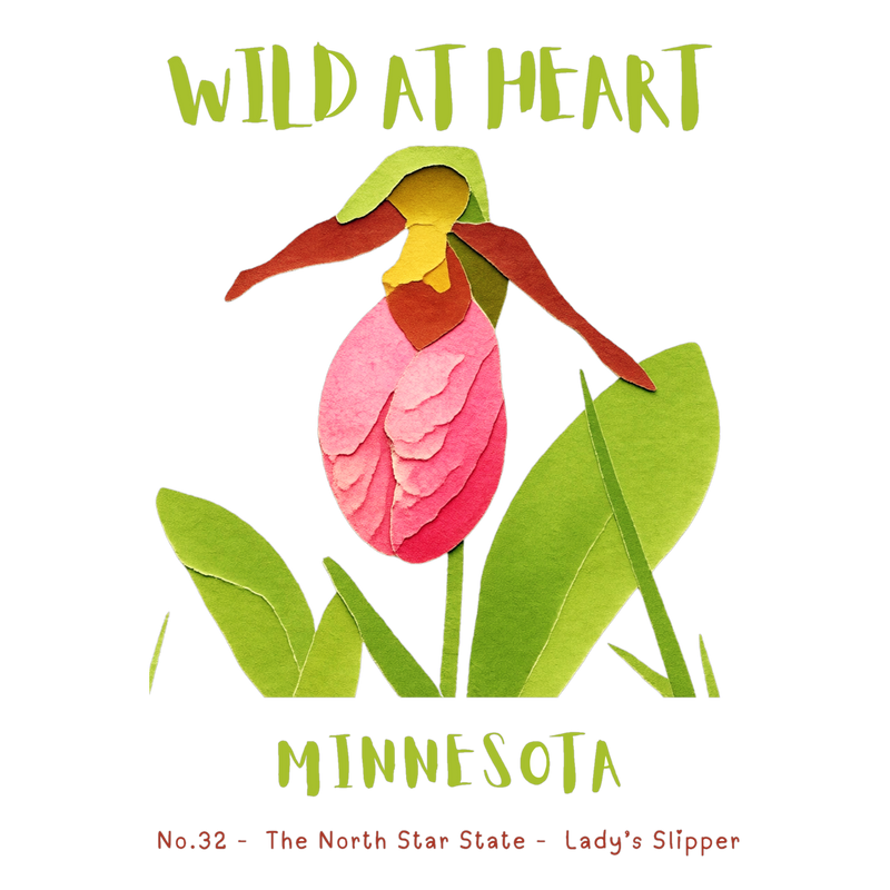 Minnesota Nature Explorer Gift Set – Activity Books + Wild at Heart Tote