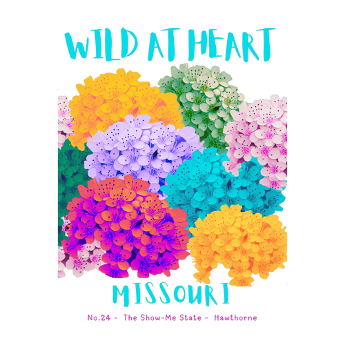 Missouri Nature Explorer Gift Set – Activity Books + Wild at Heart Tote