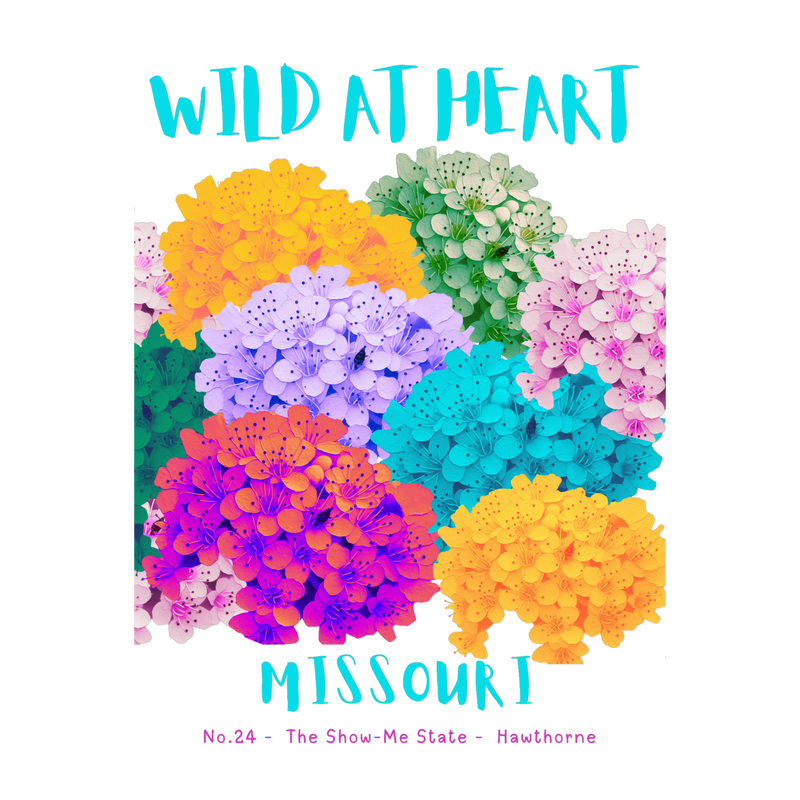 Missouri Nature Explorer Gift Set – Activity Books + Wild at Heart Tote