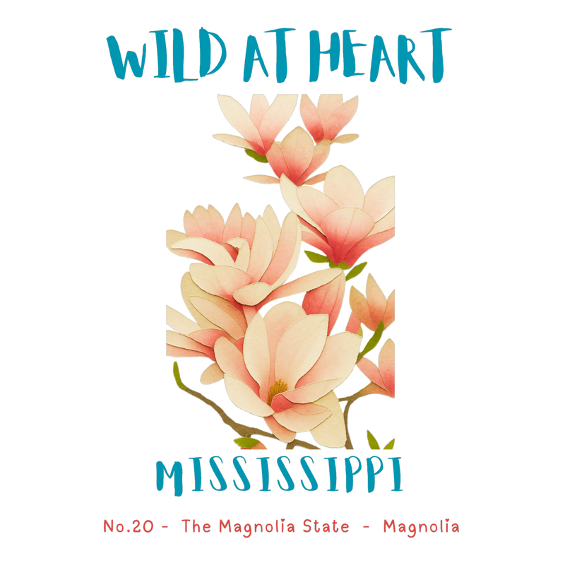 Mississippi Nature Explorer Gift Set – Activity Books + Wild at Heart Tote