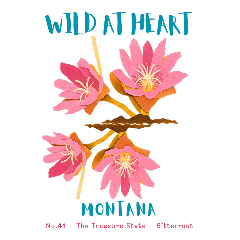 Montana Nature Explorer Gift Set – Activity Books + Wild at Heart Tote