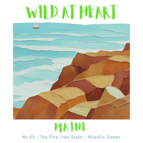 Maine Nature Explorer Gift Set – Activity Books + Wild at Heart Tote