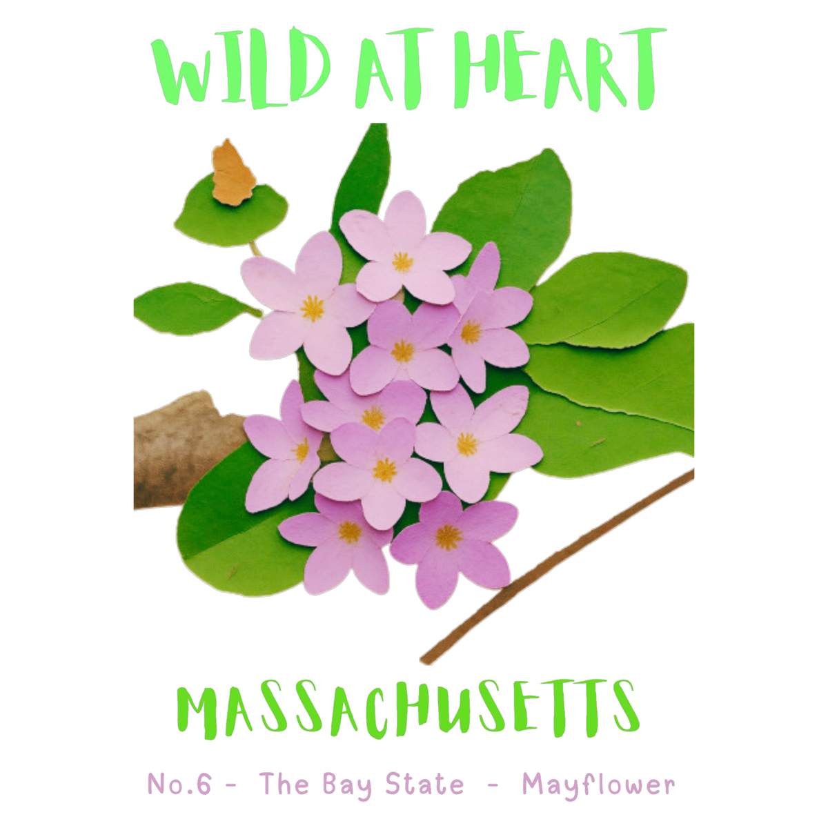 Massachusetts Nature Explorer Gift Set – Activity Books + Wild at Heart Tote