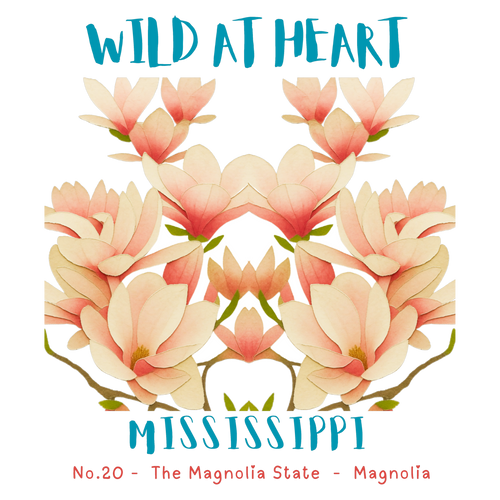 Mississippi Nature Explorer Gift Set – Activity Books + Wild at Heart Tote