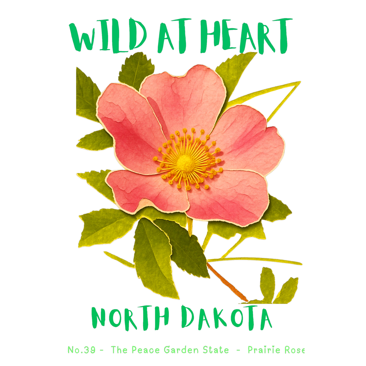 North Dakota Nature Explorer Gift Set – Activity Books + Wild at Heart Tote