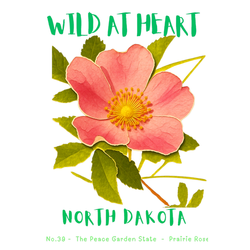 North Dakota Nature Explorer Gift Set – Activity Books + Wild at Heart Tote