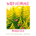 Nebraska Nature Explorer Gift Set – Activity Books + Wild at Heart Tote
