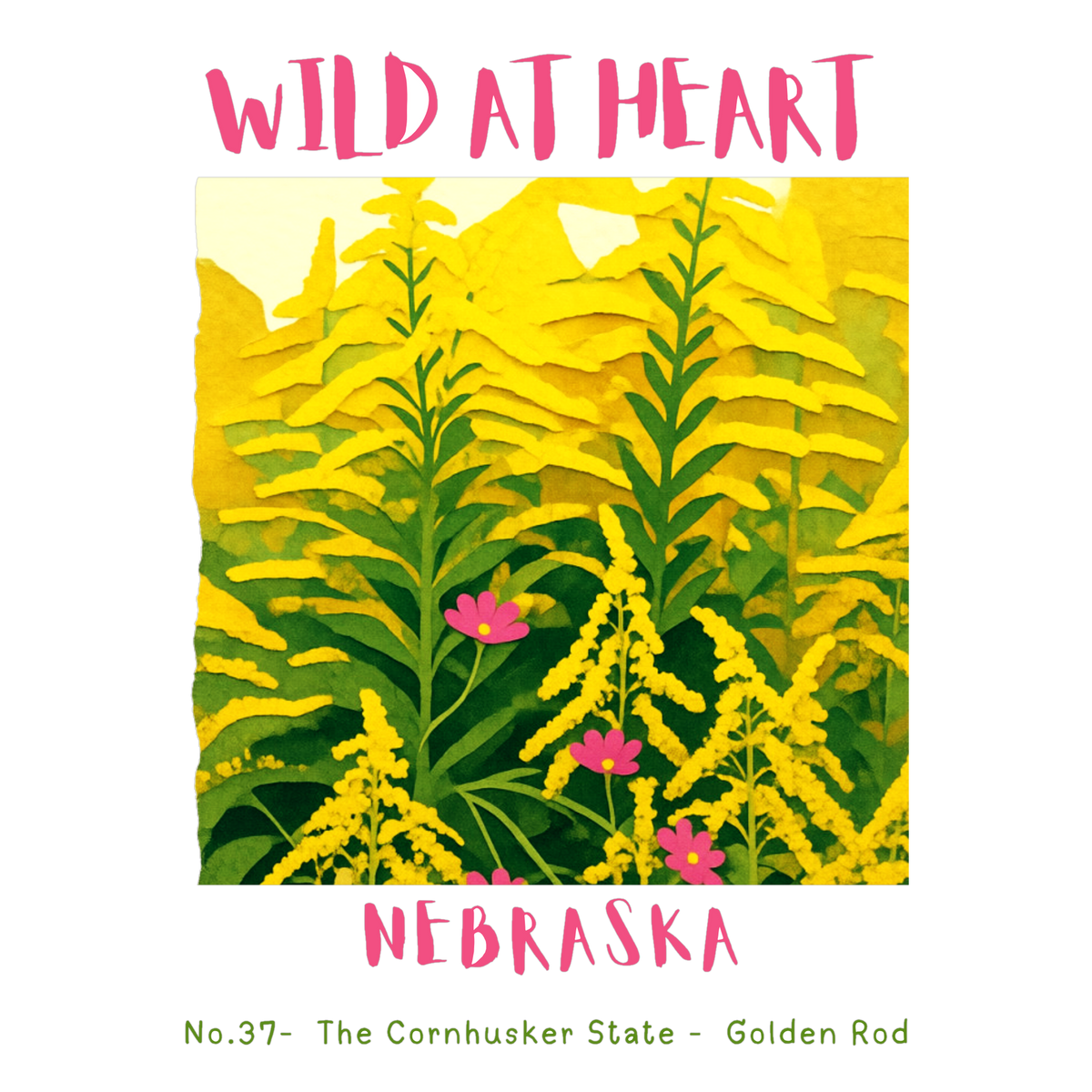 Nebraska Nature Explorer Gift Set – Activity Books + Wild at Heart Tote