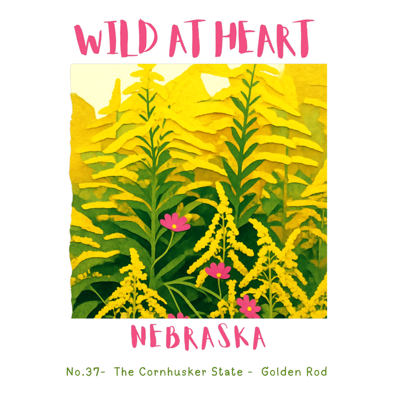 Nebraska Nature Explorer Gift Set – Activity Books + Wild at Heart Tote