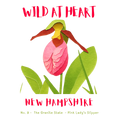 New Hampshire Nature Explorer Gift Set – Activity Books + Wild at Heart Tote