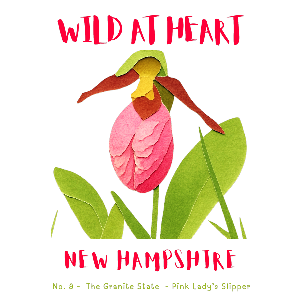 New Hampshire Nature Explorer Gift Set – Activity Books + Wild at Heart Tote