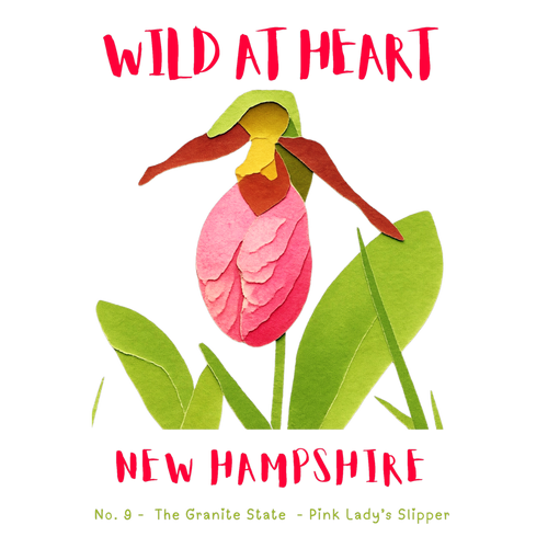 New Hampshire Nature Explorer Gift Set – Activity Books + Wild at Heart Tote