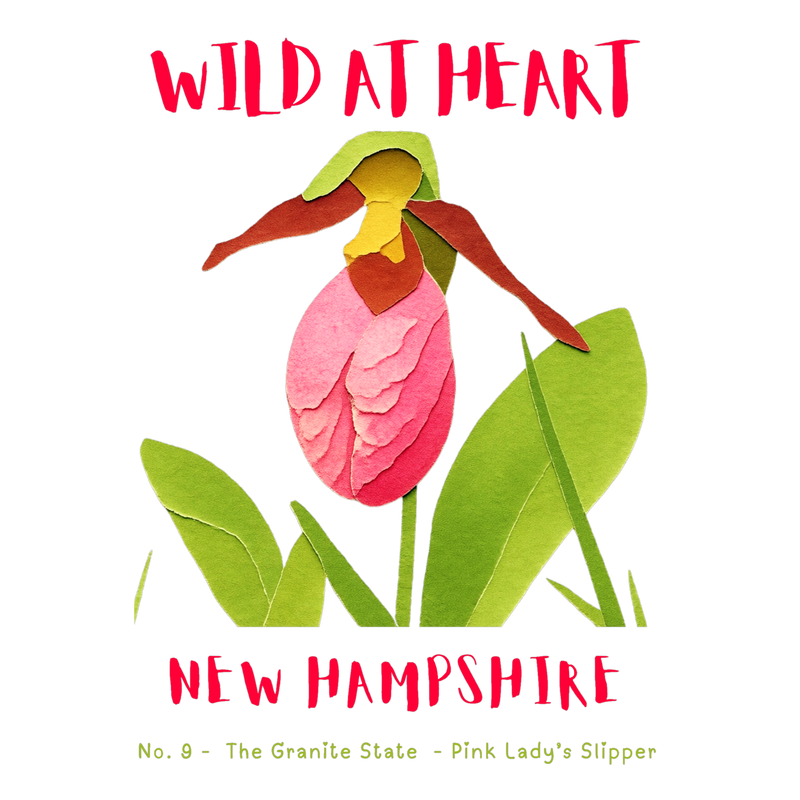 New Hampshire Nature Explorer Gift Set – Activity Books + Wild at Heart Tote