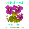 New Jersey Nature Explorer Gift Set – Activity Books + Wild at Heart Tote