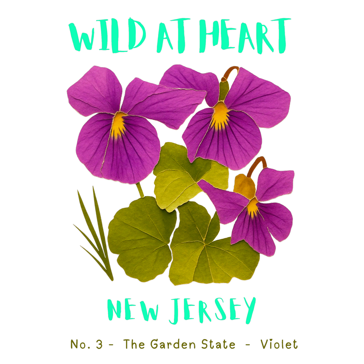 New Jersey Nature Explorer Gift Set – Activity Books + Wild at Heart Tote