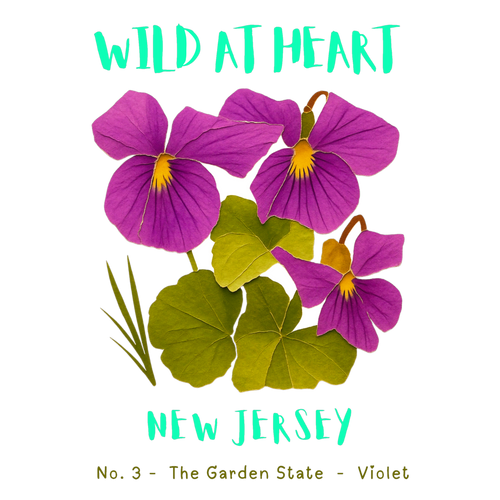 New Jersey Nature Explorer Gift Set – Activity Books + Wild at Heart Tote