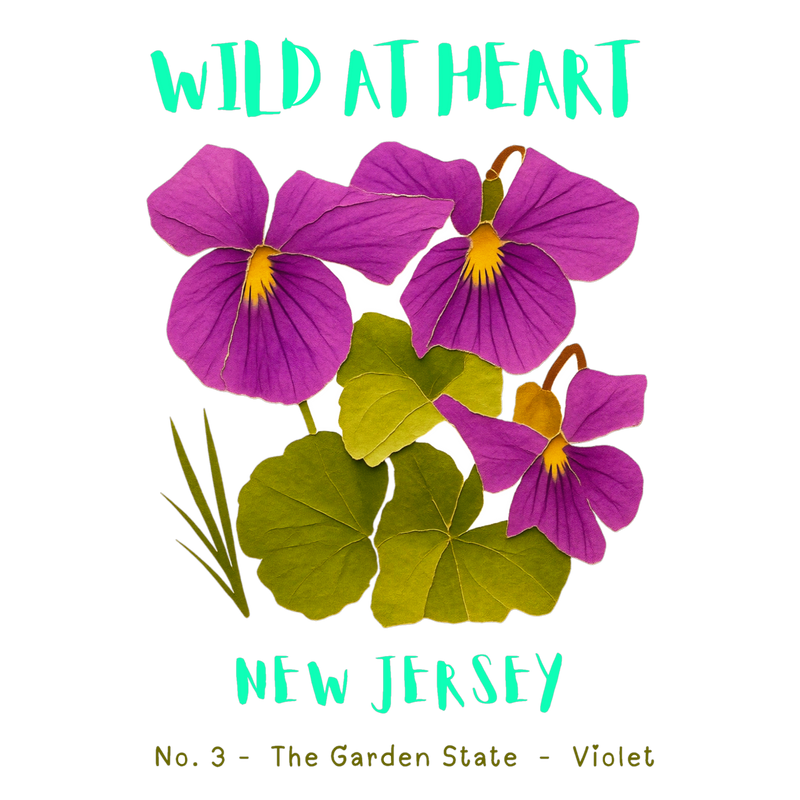 New Jersey Nature Explorer Gift Set – Activity Books + Wild at Heart Tote