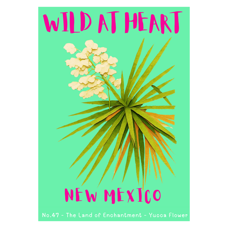 New Mexico Nature Explorer Gift Set – Activity Books + Wild at Heart Tote