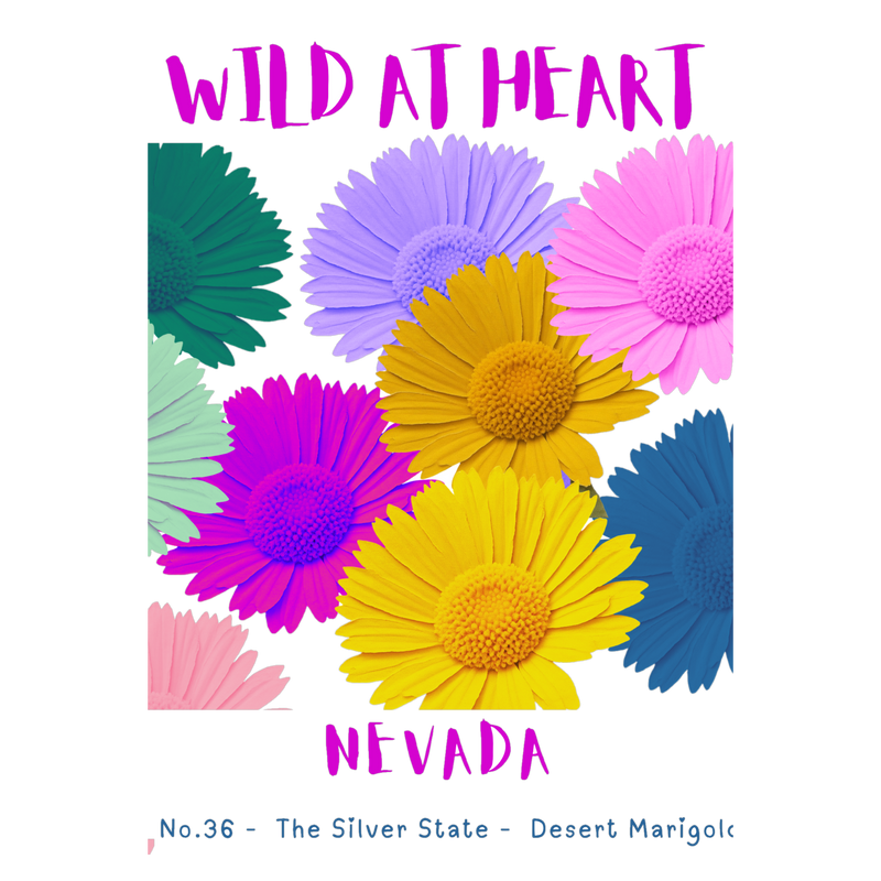 Nevada Nature Explorer Gift Set – Activity Books + Wild at Heart Tote