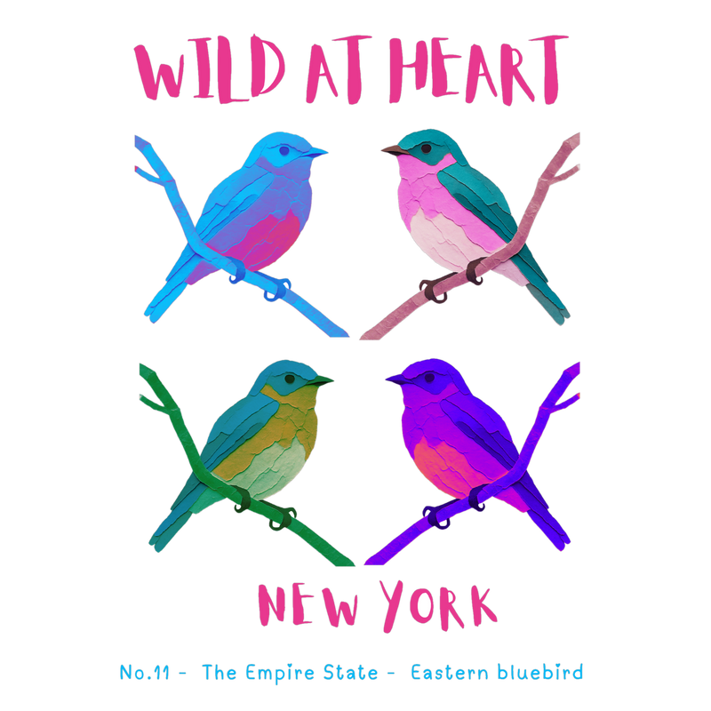 New York Nature Explorer Gift Set – Activity Books + Wild at Heart Tote