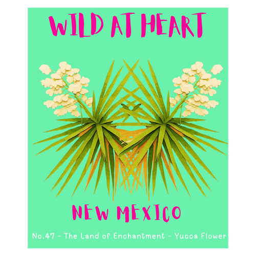 New Mexico Nature Explorer Gift Set – Activity Books + Wild at Heart Tote