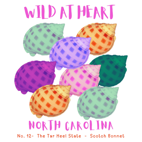 North Carolina Nature Explorer Gift Set – Activity Books + Wild at Heart Tote